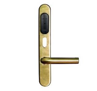 Специализированный дверной контроллер Gate-IP-Lock (IP500)