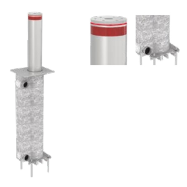 Блокиратор автоматический выдвижной Came TBD 220H600, 2 болларда