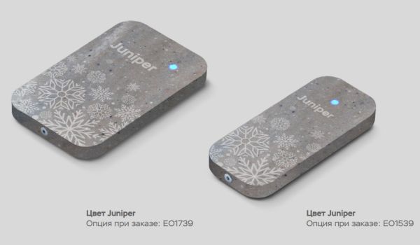 Считыватель бесконтактных карт ESMART® Reader BLE серии STONE Mullion (ER1501), с индивидуальной гравировкой, Silverite
