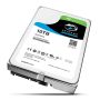 Жесткий диск Seagate SkyHawk 10 ТБ ST10000VX0004 Жесткий диск Seagate SkyHawk 10 ТБ ST10000VX0004