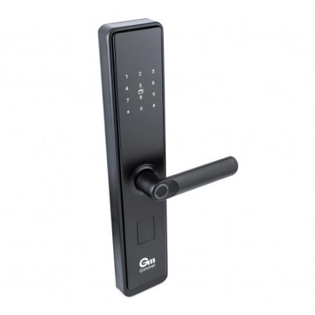 Электронный биометрический замок Gimmel F20 TTLock с отпечатком пальца