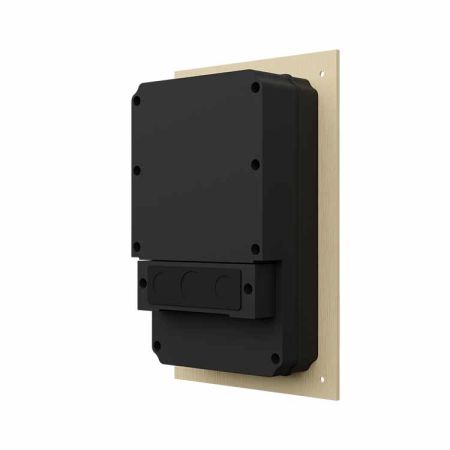 Вызывная видеопанель BAS-IP AV-08FB Gold с распознаванием лиц