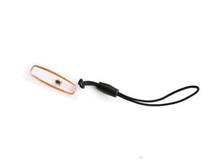 Ярлык прозрачный, ПВХ пластик, 10x28, ICODE2