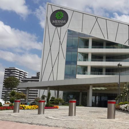 Блокиратор автоматический выдвижной Came TBD 220H500, 1 боллард