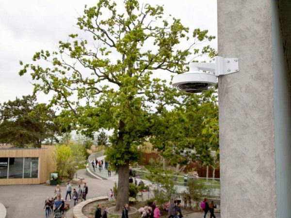 Уличная IP-видеокамера 15Мп Axis P3719-PLE с четырьмя вариофокальными объективами Уличная IP-видеокамера 15Мп Axis P3719-PLE с четырьмя вариофокальными объективами